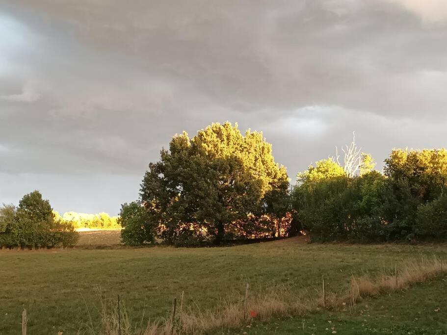 شقة Charmant Studio Avec Jardin A La Campagne Sur Le Chemin De Saint Jacques De Compostelle لوزيرت المظهر الخارجي الصورة