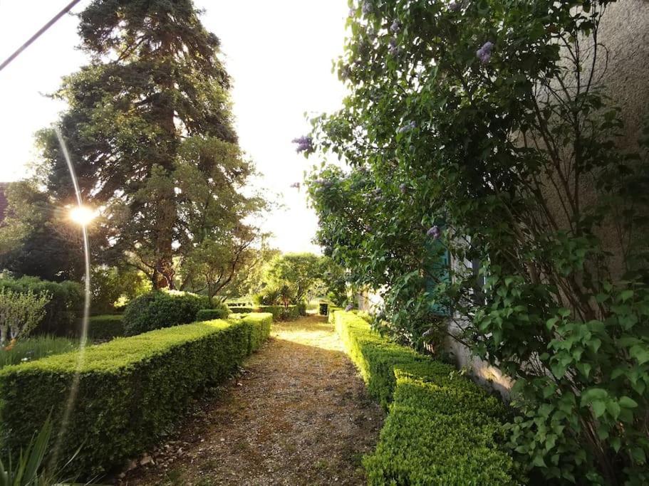 شقة Charmant Studio Avec Jardin A La Campagne Sur Le Chemin De Saint Jacques De Compostelle لوزيرت المظهر الخارجي الصورة